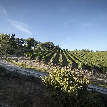 Country house Collelungo Castellina in Chianti
