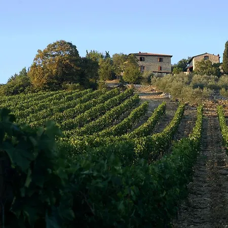 Country house Collelungo *