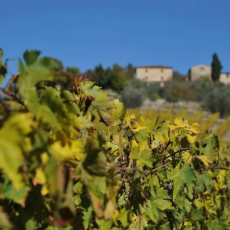Collelungo Country house *