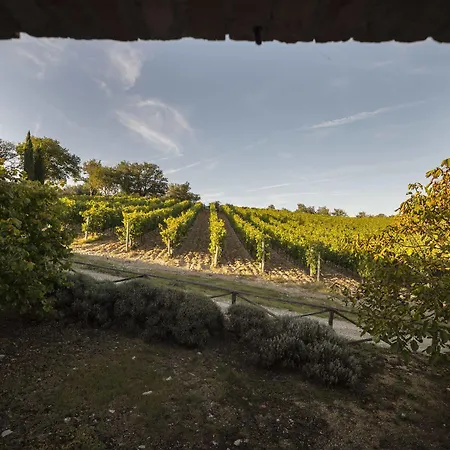 Collelungo Castellina in Chianti