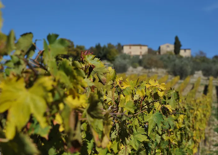 Casa di campagna Collelungo *