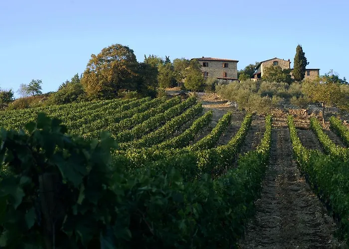 Casa di campagna Collelungo *