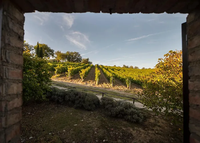 Collelungo Castellina in Chianti